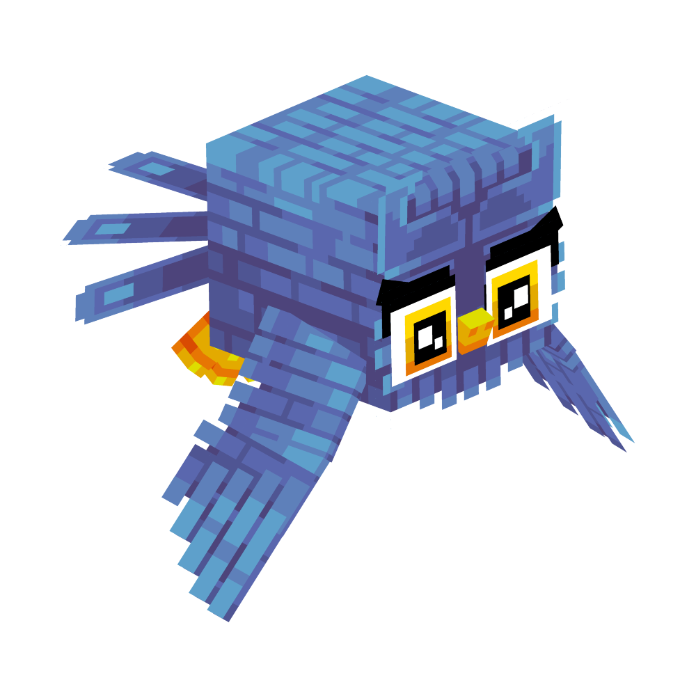 Wisdom Owl Curide