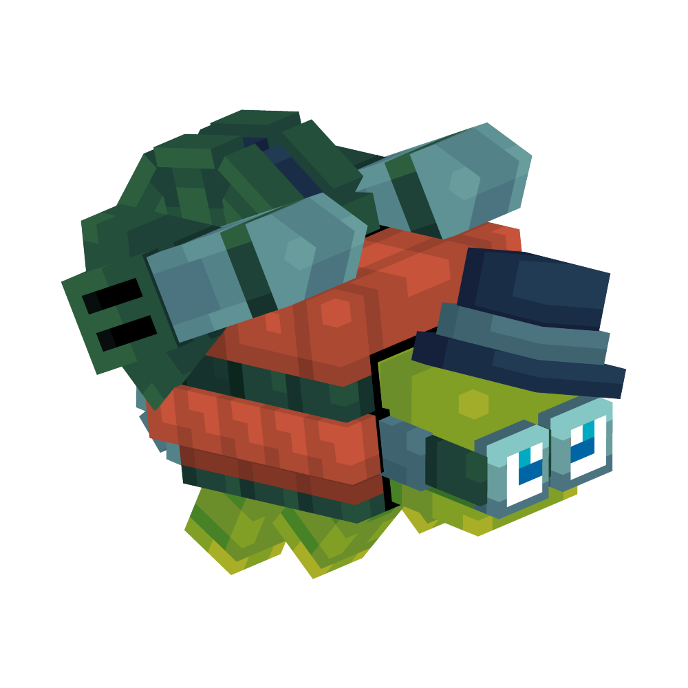 Cooper Turtle Cubee