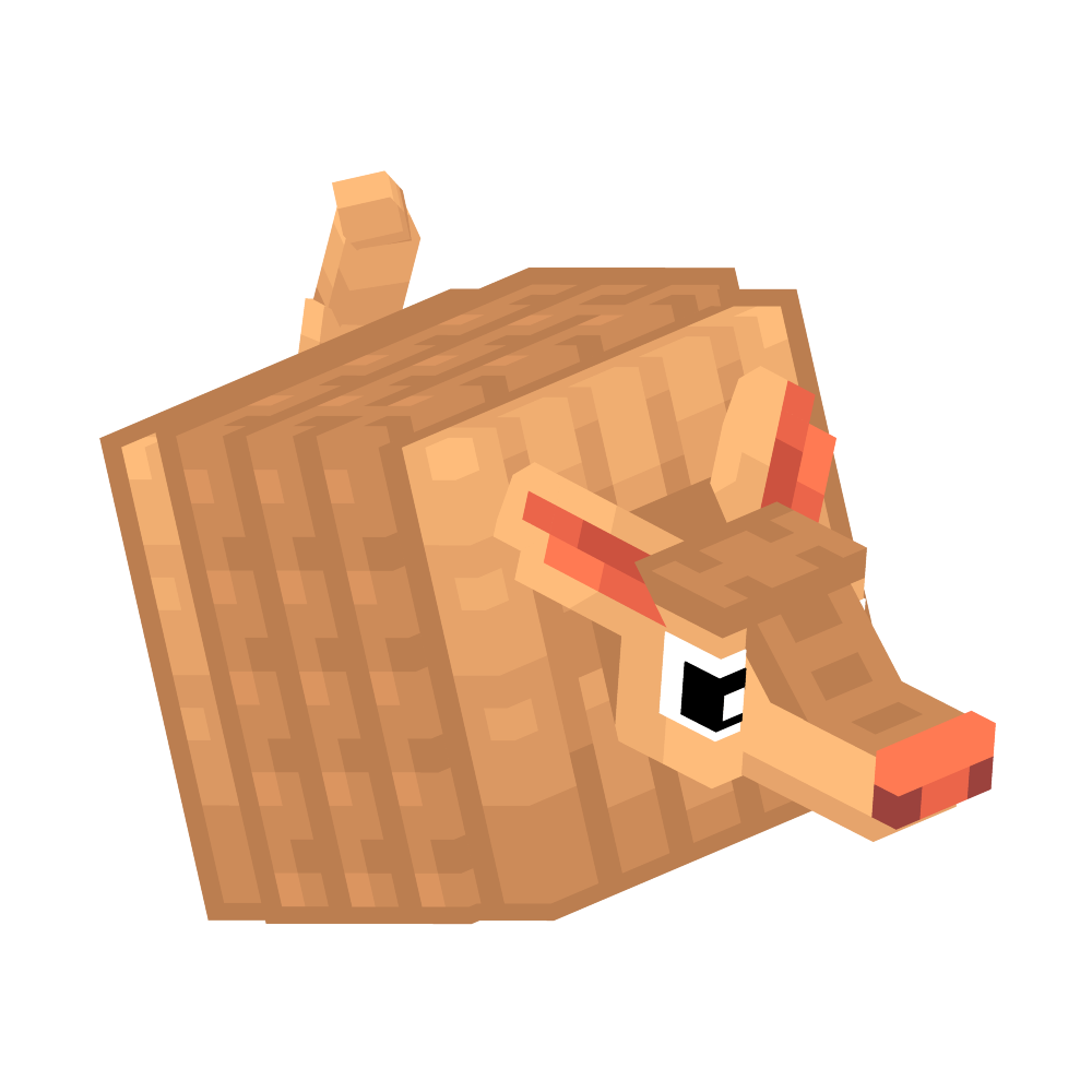 Armadillo Cushell