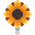 Sunflower Lolipop