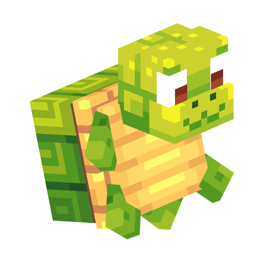 Tortoise Cushell